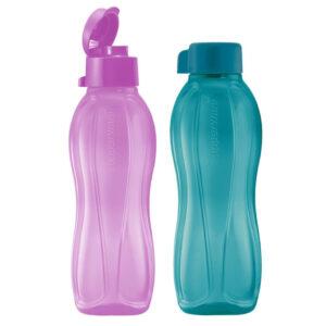 Eco Bottle 500 ml